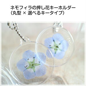 レジン キーホルダー かわいいの人気商品 通販 価格比較 価格 Com レジン キーホルダー かわいいの人気商品 通販 価格比較 価格 Com