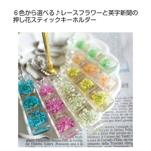 ԂƉpV l  L[z_[ XeBbN  Mtg v[g pI v`Mtg l  킢 {̉ ]  a ސE  fB[X o