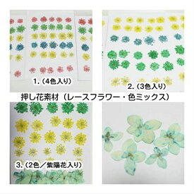 楽天市場 押し花 素材の通販