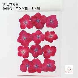楽天市場 あじさい ごきげんようの通販