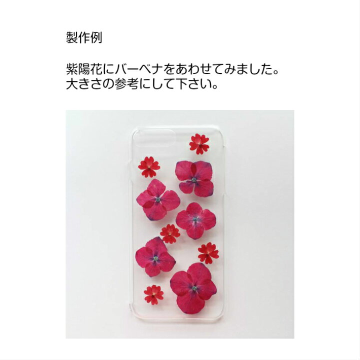 楽天市場 押し花 素材 紫陽花 ボタン色 12枚 レジンアクセサリー スマホケース 押し花額 固まるハーバリウム キャンドル クリアフレーム あじさい アジサイ 人気 レッド ボタニカル ナチュラル 植物 自然 花 濃いピンク フラワーズリーベ