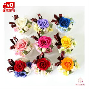 õvU[uht[ v`[YNAP[Xt v`Mtg IׂsbN  Mtg v[g a ސE  搶   LO lR L g  n[g 킢 