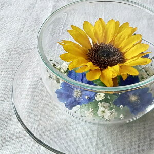 Ċ ͂Ȃԑ {gt[ Mtgy Ђ܂z{̉Ԃ hCt[ ɉH ؂ȋLÔԂYɒ܂ ɂS ւsvŎԂ炸 11 