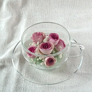 Ċ ͂Ȃԑ {gt[ MtgyeB[Jbv oz{̉Ԃ hCt[ ɉH ؂ȋLÔԂYɒ܂ ɂS ւsvŎԂ