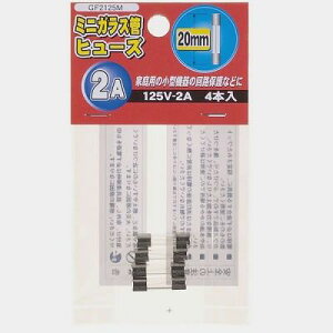 �y�݌ɏ��������zYAZAWA ���U���d�@�~�j�K���X�ǃq���|�Y20mm 125V�d�ށyGF2125M�z