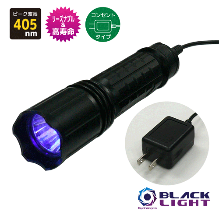 パイラナイト 2022年式 スポーツ RH975 ナイトスター 年式別モデルカタログ