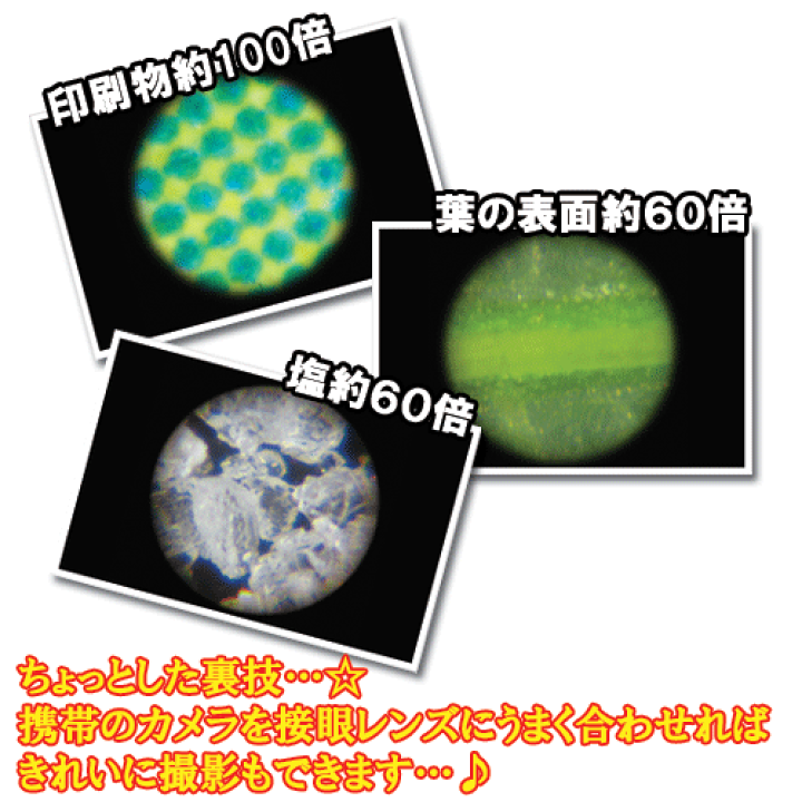 楽天市場】【送料無料】MAFYLASSポケット顕微鏡LP-33Gミニサイズ LED