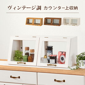 アンティーク家具 カウンター上収納ラック カウンター上ガラスケース 幅60cm：高さ25cm 調味料ラック