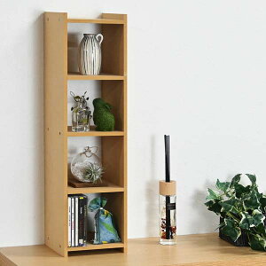 I[vbNX4i CD [ DVDbN I[vbN VFtI [  󂠂 AEgbgƋ