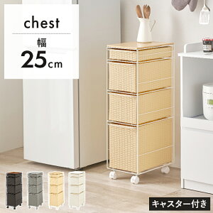 Ԏ[ 25cm ʏ h[oXPbg  X o LX^[t@ [ @ h[bN h[`FXg Tj^[[