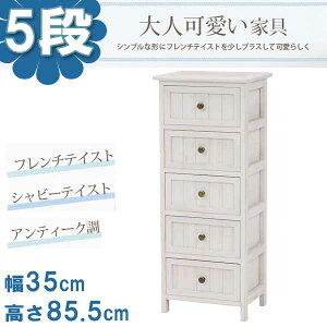 AeB[N `FXg Ԏ[ 35cmF5i  ؐ zCg  rO[ o