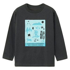 y񂹁z m[XtFCX LbYOX[uVgRgReB[ LbY qǂp  TVc NTJ82530ST