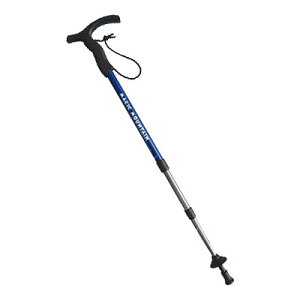 }WbN}Ee x[VbN TObv SLS(1{) (XgbN XebL) MP402SL