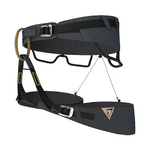 �y����񂹁z �u���[�A�C�X �N�G�X�^ �A�W���X�g �y12/8���݃��[�J�[�݌ɐ��z