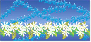 AXJ ASKA } nCAtFCX^I C 40×90cm X|[c^I v[ C W  z  R L C }X|[c ASK2APREI ULI