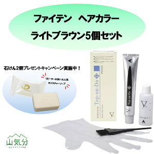 �y�}���\�����Ԓ�1���~�ȏ�500�~OFF�N�[�|���z �t�@�C�e�� Phiten �w�A�J���[ Top-on-Do D ���C�g�u���E�� ���C�X�`���[�\�[�v 100g �J���[�� ���ɗD���� ���ɂ�������� �΂��� �ӂ���A���� HCD20