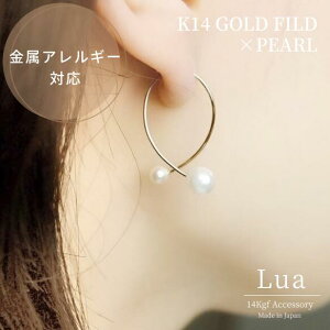 14kgfsAX_up[tfishsAXyAM[Ήzt[vsAX lp  sAX v[g a ̓ MtgbsO S[h fB[X p[ tBbVs