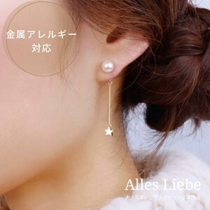 yCO(mz[sAX)zp[ƏȐ̃C[obN`[Lb`COyAM[Ήzl p[ X^[  S[h h ~ NX}X 