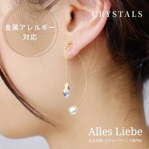 yCO(mz[sAX)zI[FɋPNX^̃AJsAXCOyAM[Ήzl sAX݂ ɂȂ I[F NX^K