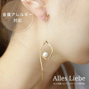 yCO(mz[sAX)zЂ˂hbvt[ƃp[̃AJsAXCOyAM[Ήzl mz[ CO p[c  sA