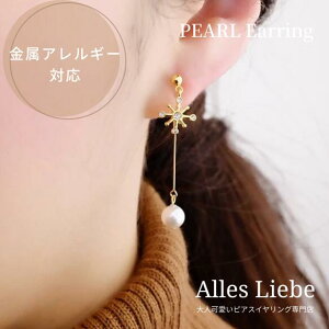 yCO(mz[sAX)zAX^XNƃp[tXeBbNC[̃sAXCOyAM[Ή zl h NX}X  ~ ̌ p[ S[