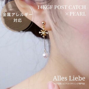 14kgfsAXAX^XNƃp[tXeBbNC[̃sAX yAM[ΉzS[htBh l h NX}X  ~ ̌ p[c p[ S[h v[