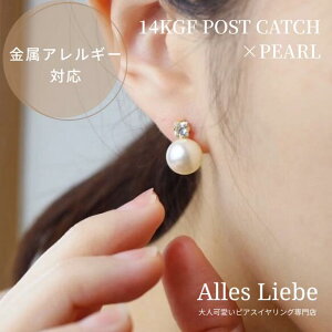 yX[p[SALE聞10OFFz14kgfsAX傫߃p[tradstylep[sAXyAM[Ήzl Ԃ p[ i   񎟉 p[eB[ I v[g M