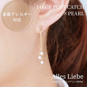 14kgfsAXp[XeBbNsAXyAM[Ήzl h sAX Ԃ ߃p[ p[c  sAX v[g a ̓ MtgbsO S[