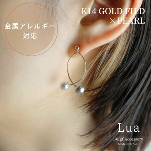 yAM[Ήz14kgf2F̃p[tGC[̃sAX l i ㎿  P p[ Vv sAX 14S[htBh p[c  sAX S[h fB[