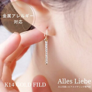 14kgfEhtbNɏXg[XeBbNsAXyAM[Ήzl VvsAX  T @  LL NX}X v[g a ̓ Mtg 