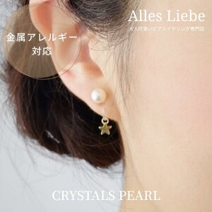 yCO(mz[sAX)z^X^[`[Lb`×p[sAXCOyAM[Ήzl   Ԃ 6mmp[ S[h v[g a