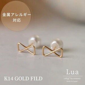 14kgfv`{̃sAXorCO AM[Ή S[htBh p[ l ㎿ Vv p[Lb`   i fB[X ItBX X[c ʋ ʊw }} 