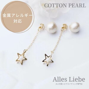 14kgfsAXorCOt[X^[ƃRbgp[yAM[Ήzl 2waysAX h  p[c  JWA NX}X v[g a ̓ M