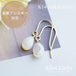 14kgfsAXorCO`̔LyAM[ΉzS[htBh 14 ^ l i Vv u₩ hbv mz[sAX VF VR @ ؚ  