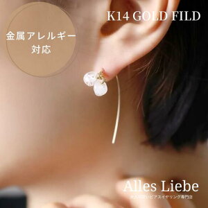 14kgfsAXȂKXr[Y̓˂hsAX@i}[uzCgjyAM[ΉzT}[eCXg   14S[htBh Vv l i ㎿ i tH[}