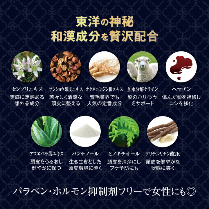 楽天市場】【1年使える大容量】アラジンリバース・ジャンボ 500ml 養 