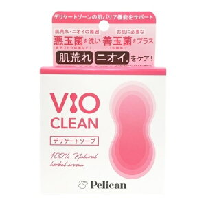 VIO CLEAN\[v@Ό@pΌ@r@jICPA