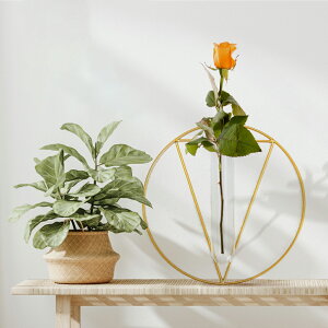 y1`N[|1,602~z Ǌ|ԕr t[x[X  킢  Ȃ hCt[ KN AeB[N ֑} Ԃт S[h  NA  C[ A