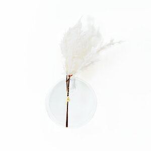 yԌ聚N[|1,332~z Ǌ| KX ԕr t[x[X  킢  hCt[ KN AeB[N ֑} Ԃт S[h  NA  ؍ k 