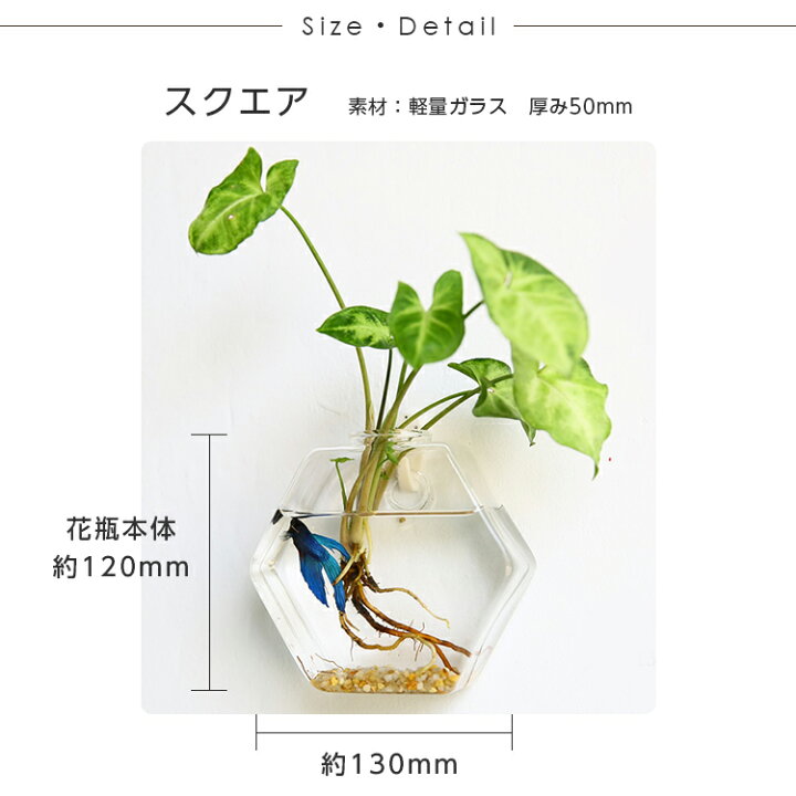 楽天市場 あす楽 送料無料 壁掛け 壁かけ ガラス 花瓶 おしゃれ花器 壁かけ花瓶 一輪挿し 花びん 壁飾り インテリア 倒れない 花器 フラワーベース 水耕栽培 クリア おしゃれ インテリア雑貨 楽天ロジ E Me Store 楽天市場 あす楽 送料無料 壁掛け 壁かけ ガラス 花瓶 おしゃれ花器 壁かけ花瓶 一輪挿し 花びん 壁飾り インテリア 倒れない 花器 フラワーベース 水耕栽培 クリア おしゃれ インテリア雑貨 楽天ロジ E Me Store