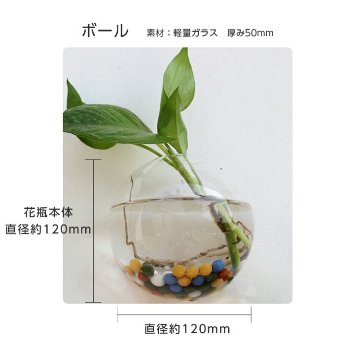 楽天市場 あす楽 送料無料 壁掛け 壁かけ ガラス 花瓶 おしゃれ花器 壁かけ花瓶 一輪挿し 花びん 壁飾り インテリア 倒れない 花器 フラワーベース 水耕栽培 クリア おしゃれ インテリア雑貨 楽天ロジ E Me Store