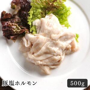 z ē ؉z 500g  Ⓚ BBQ 炩 |  ͂  p ܂ r ē  t h{Lx Mtg  ӎ ̂ L