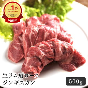 WMXJ  [X WMXJ 500g  [X ē ؂ 炩 BBQ  r Lv ͂ p[eB[ Mtg  _炩 wV[ 