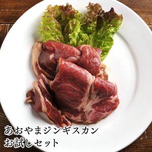 WMXJ  ܃WMXJZbg ؂ BBQ ɏ  Lv ͂ p[eB[ Mtg  | Hו ܂ ͂̂ ^pN er 