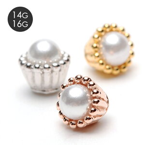 Jbvinp[lW / sAX {fBsAX {fBs XyA lW JX^ {[ p[  fB[X 14G 16G