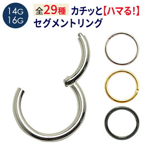 yS[hJ[zJ`bƃZOgO / sAX {fBsAX {fBs ZOg Vv t[vsAX O ^b`sAX Lb`X