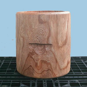 yPEEEXEOPEPE݂PEnPE4z2pPROdl@a38`43cm