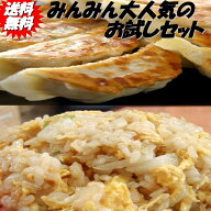 【送料無料】みんみんの餃子40個 チャーハン3パック お試しセット【餃子 ぎょうざ ギョーザ】富山より全…