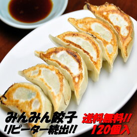 【送料無料】餃子専門店みんみんの餃子 120個 リピーター続出【RCP】【餃子 ぎょうざ ギョーザ】富山より冷凍便で全国にお届けいたします【のし】【父の日】【お歳暮】