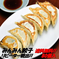 【送料無料】餃子専門店みんみんの餃子 80個 リピーター続出【RCP】【餃子 ぎょうざ ギョーザ】富山より…